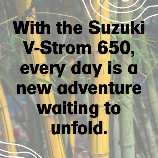 Suzuki V-Strom 650 Captions Photo for Instagram In [2025]-WD69Kg