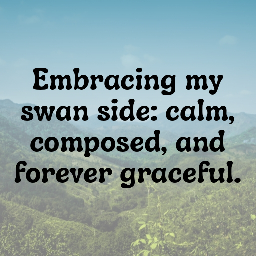 Swan Captions Image For Instagram In 2025-wphVot