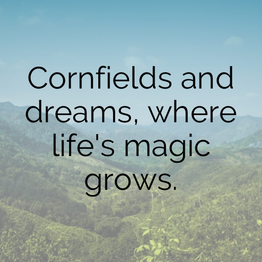 Sweet Corn Captions Photo For Instagram In [2025]-1Fd0ye