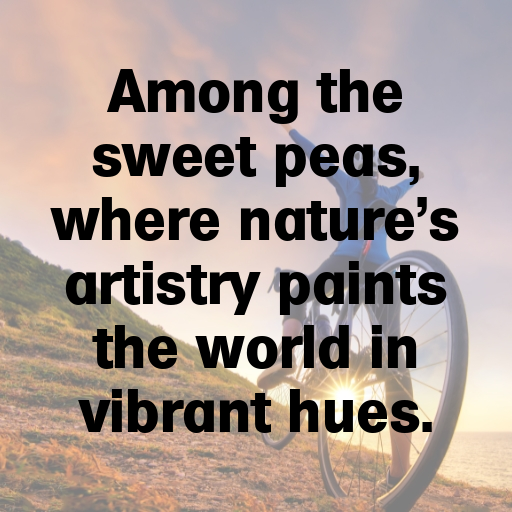 Sweet Pea Captions Image For Instagram In [2025]-2dVWcI