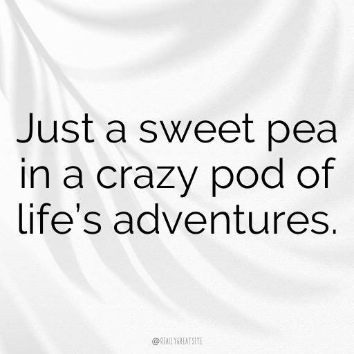 Sweet Pea Captions Photo For Instagram In [2025]-PnCZjF