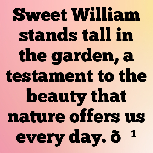 182+ Sweet William Captions For Instagram In 2025 3 Sweet William Captions Photo For Instagram In 2025-tDWDS9