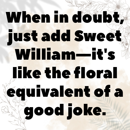 182+ Sweet William Captions For Instagram In 2025 4 Sweet William Captions Photo For Instagram In 2025-wXWsUZ