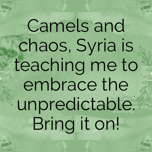 191+ Syria Captions For Instagram In 2025 4 Syria Captions Image For Instagram In 2025-0nVUlq