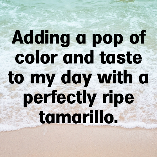 Tamarillo Captions Photo For Instagram In [2025]-0eiggl