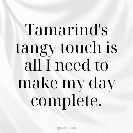 154+ Tamarind Captions For Instagram In (2025) 10 Tamarind Captions Image For Instagram In (2025)-V1voBw