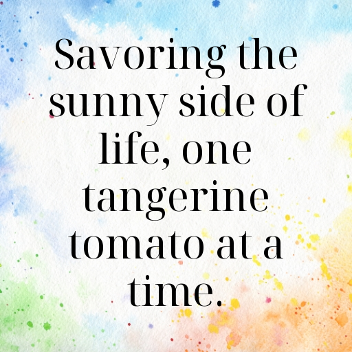 Tangerine Tomato Captions Image For Instagram In [2025]-2Car3M