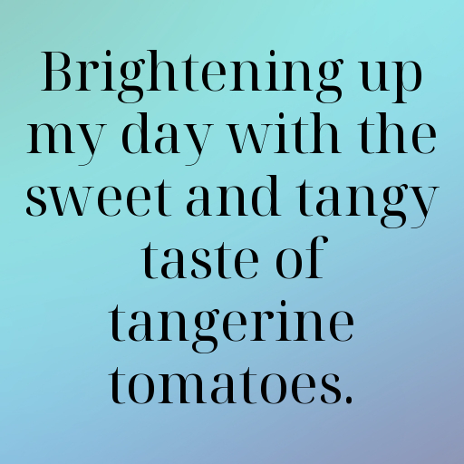 Tangerine Tomato Captions Image For Instagram In [2025]-DtJDlG