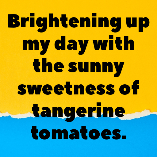 Tangerine Tomato Captions Image For Instagram In [2025]-PV3NQz