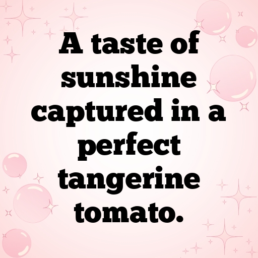 Tangerine Tomato Captions Image For Instagram In [2025]-ypY9Gy