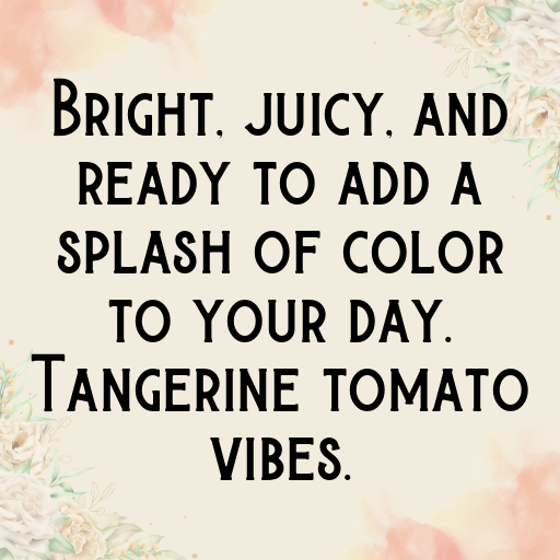 Tangerine Tomato Captions Photo For Instagram In [2025]-VOpz9v