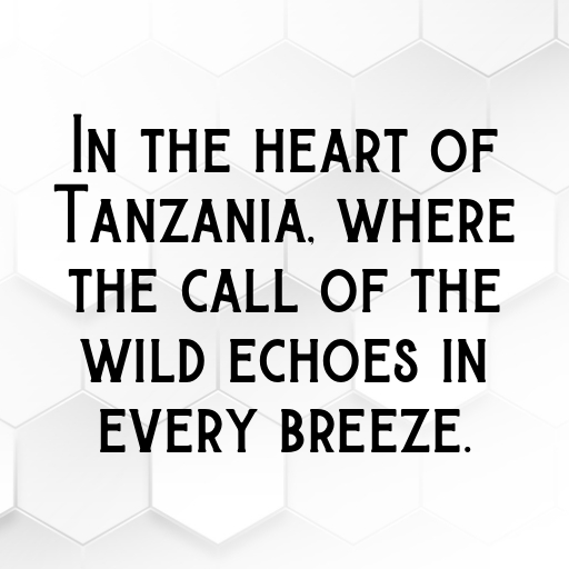 Tanzania Captions Image For Instagram In (2025)-mXzYDO