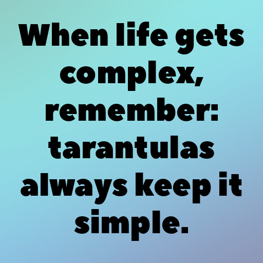 Tarantula Captions Photo For Instagram In 2025-dTx2bp