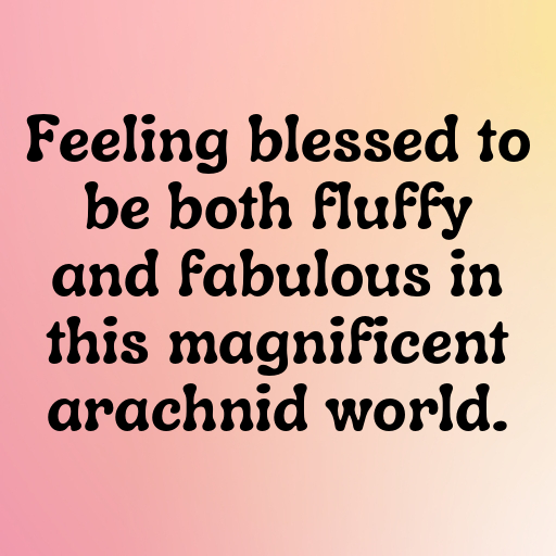 Tarantula Captions Photo For Instagram In 2025-LBalCr