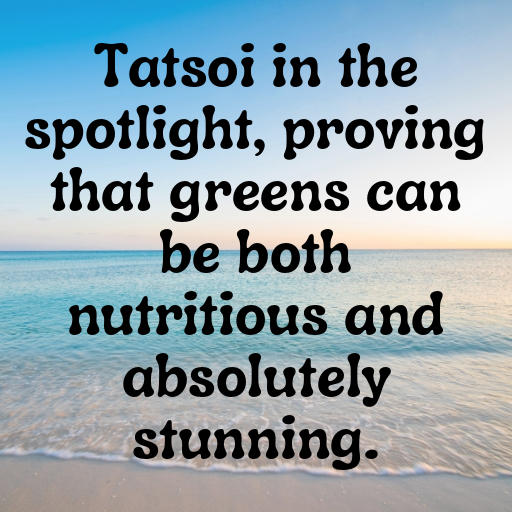 Tatsoi Captions Photo For Instagram In [2025]-bzLNKl