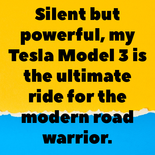 Tesla Model 3 Captions Photo for Instagram In (2025)-3eCnvh