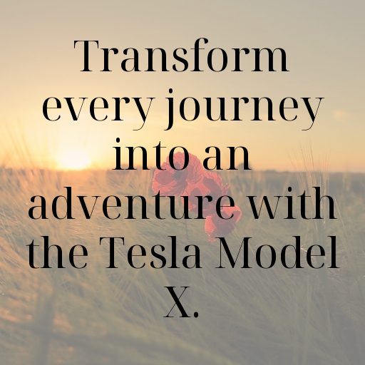 Tesla Model X Captions Image for Instagram In 2025-SyJTfn
