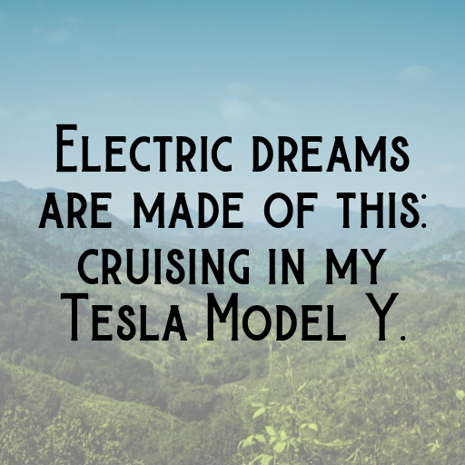 Tesla Model Y Captions Image for Instagram In (2025)-dRArHv