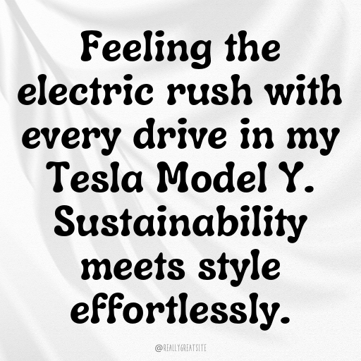 Tesla Model Y Captions Image for Instagram In (2025)-W131gF