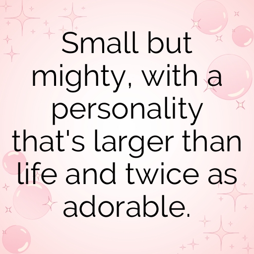 Tiny Wonders Baby Captions Photo for Instagram In 2025-dg5VYm