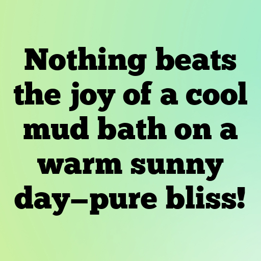 Toad Captions Photo For Instagram In 2025-CKwMMR