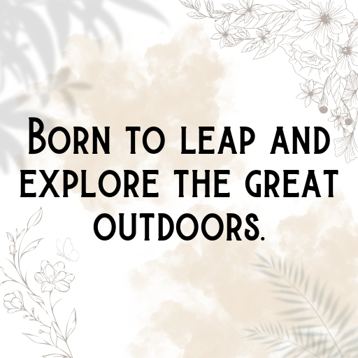 Toad Captions Photo For Instagram In 2025-FQSzZI