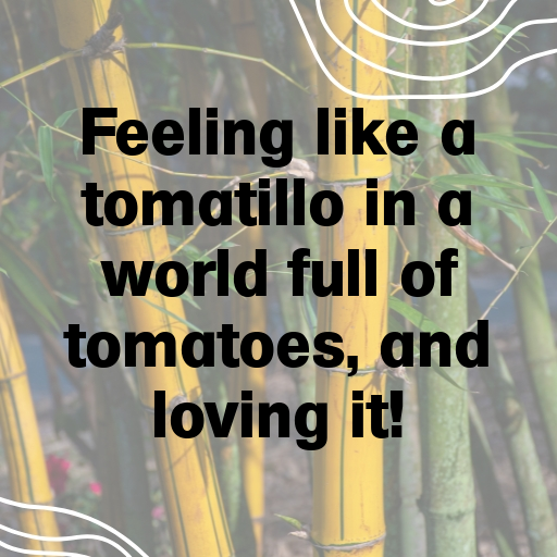 169+ Tomatillo Captions For Instagram In (2025) 4 Tomatillo Captions Image For Instagram In (2025)-BHfb89