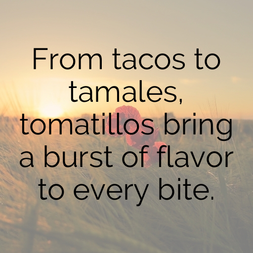 169+ Tomatillo Captions For Instagram In (2025) 3 Tomatillo Captions Photo For Instagram In (2025)-0t2dv6