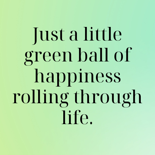 169+ Tomatillo Captions For Instagram In (2025) 6 Tomatillo Captions Photo For Instagram In (2025)-vf73zx