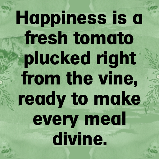 174+ Tomato Captions For Instagram In 2025 6 Tomato Captions Image For Instagram In 2025-STUhjl