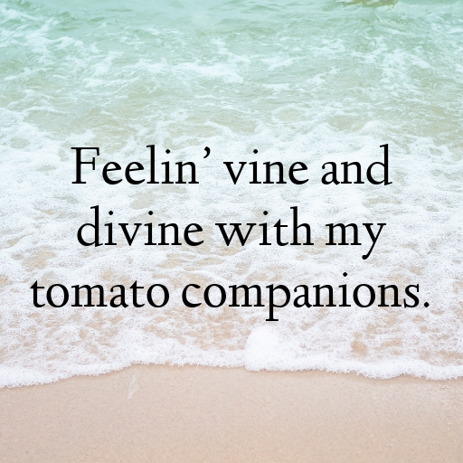 193+ Tomato Captions For Instagram In 2025 4 Tomato Captions Image For Instagram In 2025-wx1G2K