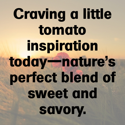 193+ Tomato Captions For Instagram In 2025 9 Tomato Captions Photo For Instagram In 2025-13yIvU