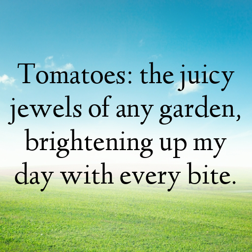 174+ Tomato Captions For Instagram In 2025 3 Tomato Captions Photo For Instagram In 2025-p0lxn8