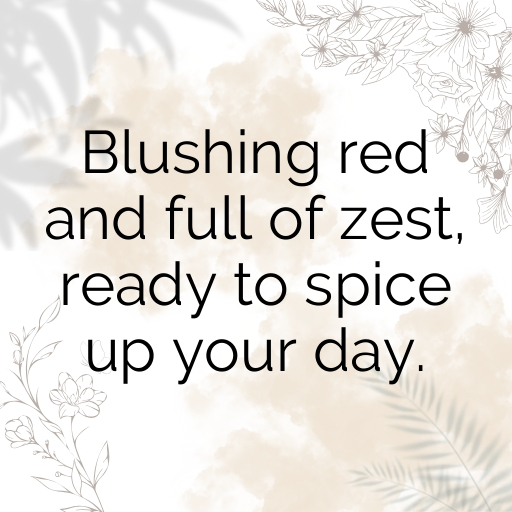 193+ Tomato Captions For Instagram In 2025 5 Tomato Captions Photo For Instagram In 2025-rck4LR