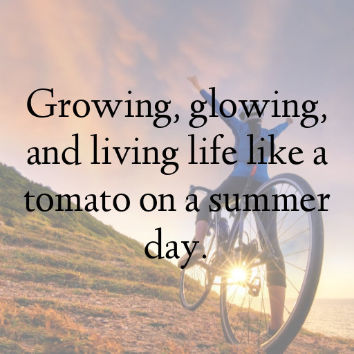 193+ Tomato Captions For Instagram In 2025 6 Tomato Captions Photo For Instagram In 2025-xAgbqj