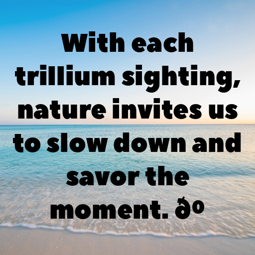 Trillium Captions Image For Instagram In 2025-3tTnOG