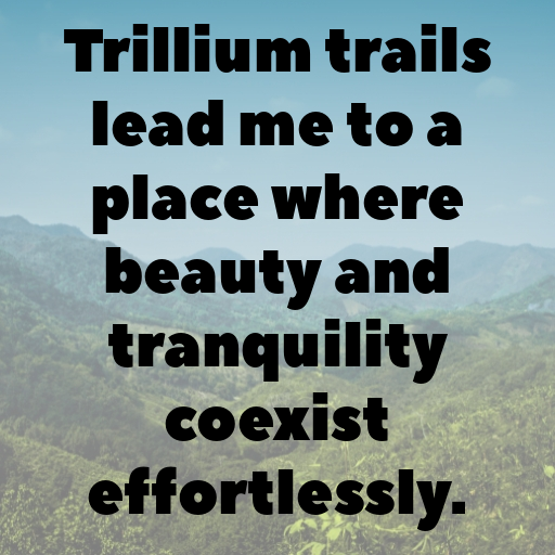 Trillium Captions Image For Instagram In 2025-a6lsaK