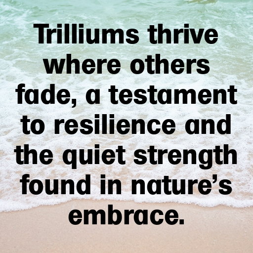 Trillium Captions Image For Instagram In 2025-jjF5F1