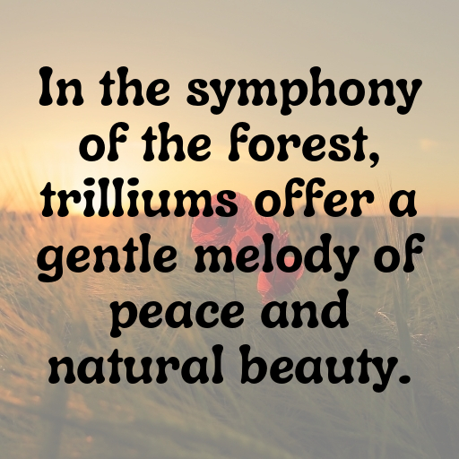 Trillium Captions Image For Instagram In 2025-phkE22
