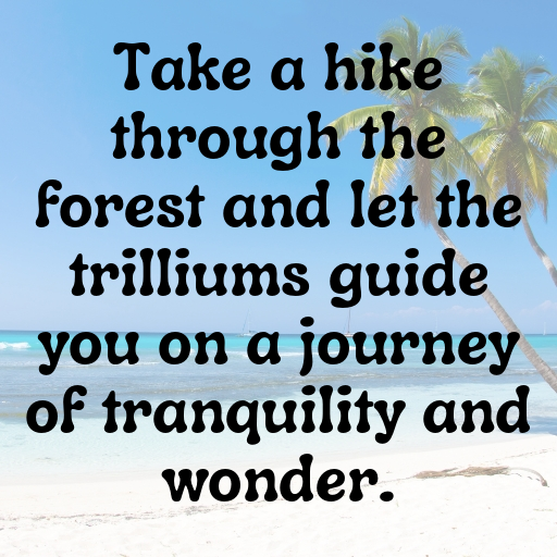 Trillium Captions Image For Instagram In 2025-pxIJ53