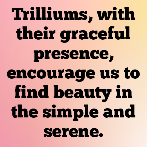 Trillium Captions Photo For Instagram In 2025-hTATPr