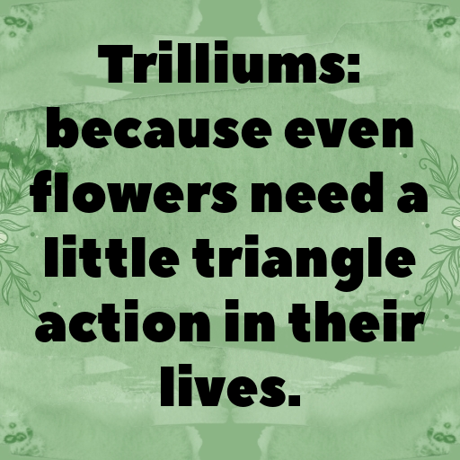 Trillium Captions Photo For Instagram In 2025-VJOFg8