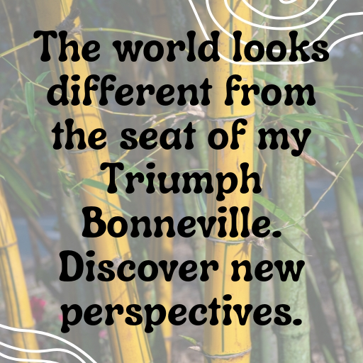 183+ Triumph Bonneville Captions for Instagram In 2025 8 Triumph Bonneville Captions Image for Instagram In 2025-RFO02X