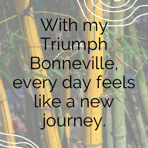 Triumph Bonneville Captions Image for Instagram In [2025]-SUutKY