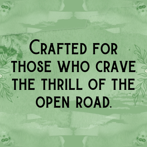 183+ Triumph Speed Twin Captions for Instagram In 2025 5 Triumph Speed Twin Captions Photo for Instagram In 2025-6TK6P3