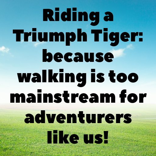 Triumph Tiger Captions Image for Instagram In [2025]-96NEW0