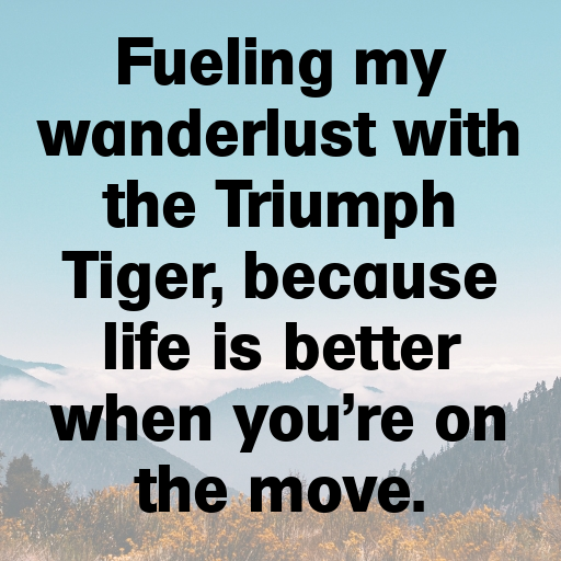 Triumph Tiger Captions Image for Instagram In [2025]-caVIWX