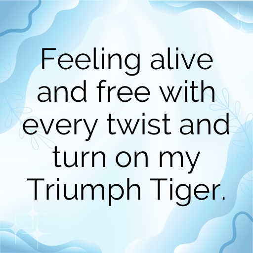 Triumph Tiger Captions Image for Instagram In [2025]-CS5m2c