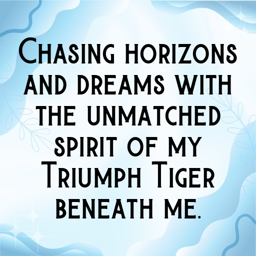 Triumph Tiger Captions Image for Instagram In [2025]-jLvCjg