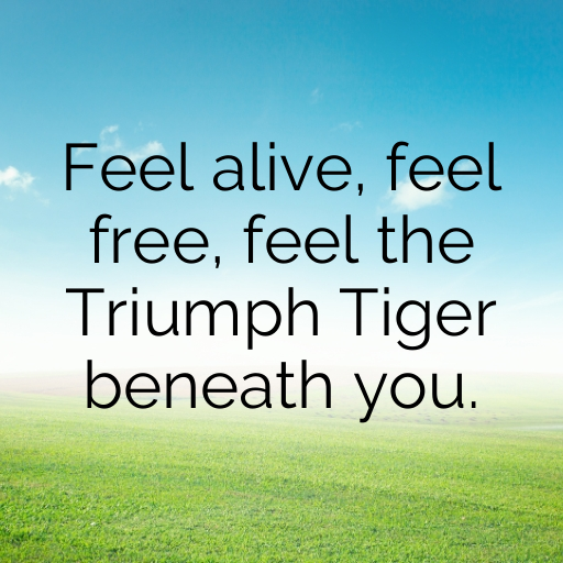 Triumph Tiger Captions Photo for Instagram In [2025]-W6OUju